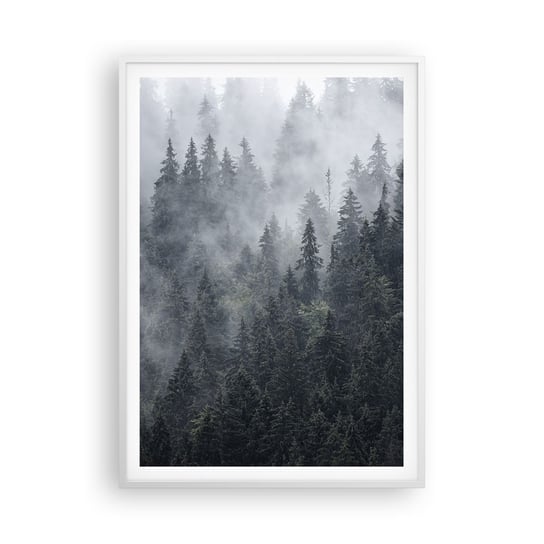 Obraz - Plakat - Leśny świt - 70x100cm - Krajobraz Las Natura - Foto Plakaty w ramie koloru białego do Salonu Sypialni ARTTOR ARTTOR