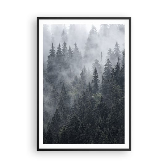 Obraz - Plakat - Leśny świt - 70x100cm - Krajobraz Las Natura - Foto Plakaty w ramie koloru czarnego do Salonu Sypialni ARTTOR ARTTOR