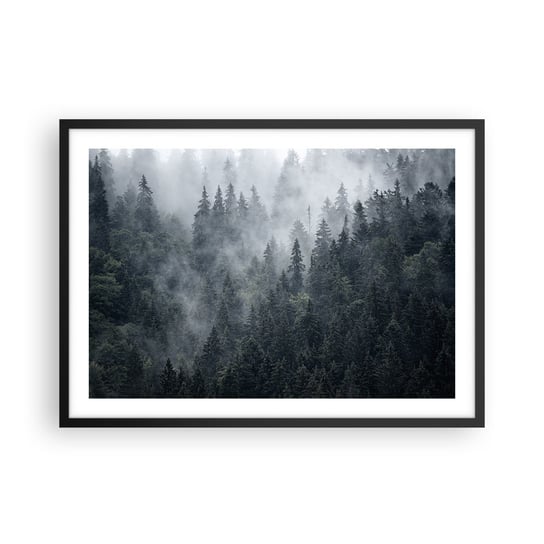 Obraz - Plakat - Leśny świt - 70x50cm - Krajobraz Las Natura - Nowoczesny modny obraz Plakat czarna rama ARTTOR ARTTOR