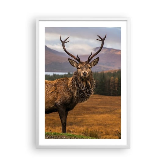 Obraz - Plakat - Majestat natury - 50x70cm - Zwierzęta Jeleń Krajobraz - Nowoczesny modny obraz Plakat rama biała ARTTOR ARTTOR