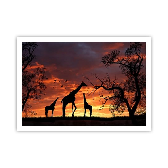 Obraz - Plakat - Mała kolacja w gronie najbliższych - 100x70cm - Zwierzęta Żyrafa Afryka - Foto Plakaty bez ramy na ścianę do Salonu Sypialni ARTTOR ARTTOR