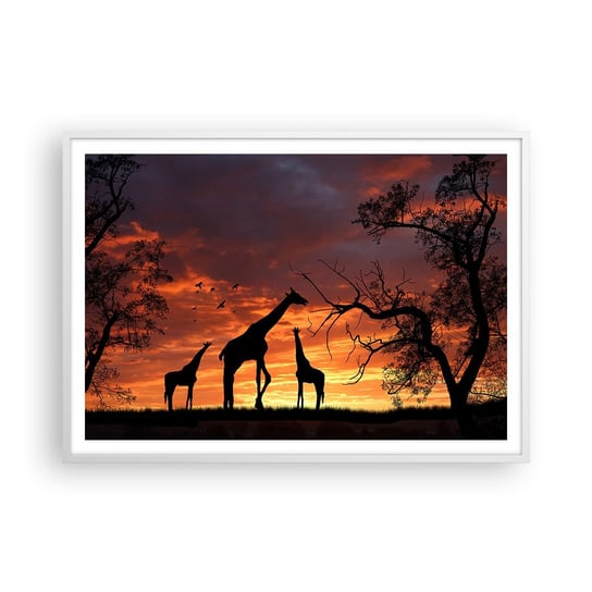 Obraz - Plakat - Mała kolacja w gronie najbliższych - 100x70cm - Zwierzęta Żyrafa Afryka - Foto Plakaty w ramie koloru białego do Salonu Sypialni ARTTOR ARTTOR