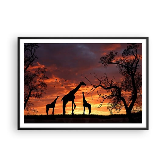 Obraz - Plakat - Mała kolacja w gronie najbliższych - 100x70cm - Zwierzęta Żyrafa Afryka - Foto Plakaty w ramie koloru czarnego do Salonu Sypialni ARTTOR ARTTOR