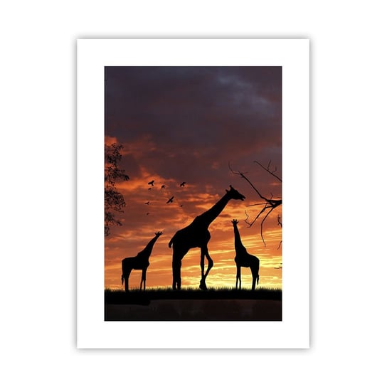 Obraz - Plakat - Mała kolacja w gronie najbliższych - 30x40cm - Zwierzęta Żyrafa Afryka - Foto Plakaty na ścianę bez ramy - Plakat do Salonu Sypialni ARTTOR ARTTOR