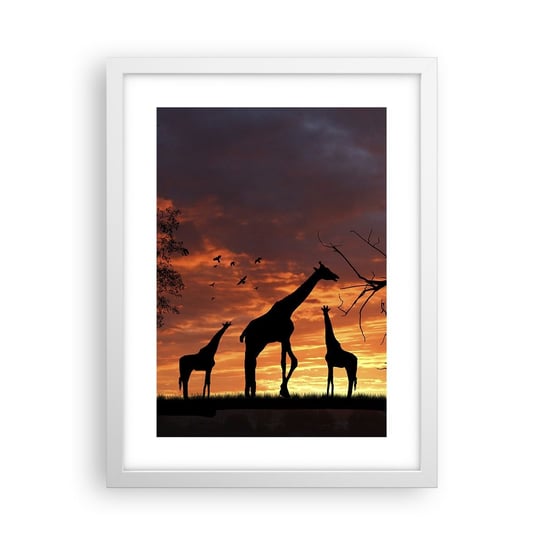 Obraz - Plakat - Mała kolacja w gronie najbliższych - 30x40cm - Zwierzęta Żyrafa Afryka - Foto Plakaty na ścianę w ramie białej - Plakat do Salonu Sypialni ARTTOR ARTTOR