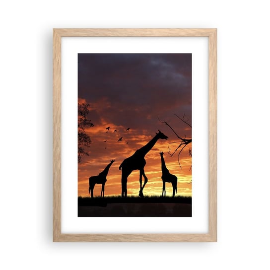 Obraz - Plakat - Mała kolacja w gronie najbliższych - 30x40cm - Zwierzęta Żyrafa Afryka - Foto Plakaty na ścianę w ramie jasny dąb - Plakat do Salonu Sypialni ARTTOR ARTTOR