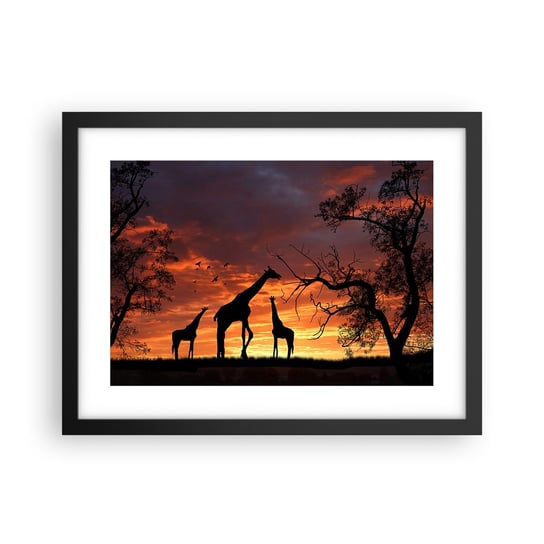 Obraz - Plakat - Mała kolacja w gronie najbliższych - 40x30cm - Zwierzęta Żyrafa Afryka - Foto Plakaty na ścianę w czarnej ramie - Plakat do Salonu Sypialni ARTTOR ARTTOR