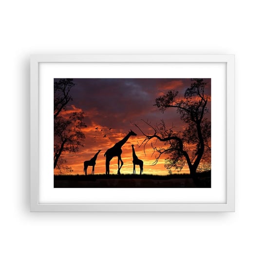 Obraz - Plakat - Mała kolacja w gronie najbliższych - 40x30cm - Zwierzęta Żyrafa Afryka - Foto Plakaty na ścianę w ramie białej - Plakat do Salonu Sypialni ARTTOR ARTTOR