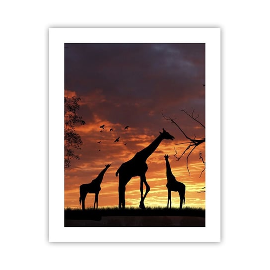 Obraz - Plakat - Mała kolacja w gronie najbliższych - 40x50cm - Zwierzęta Żyrafa Afryka - Foto Plakaty bez ramy do Salonu Sypialni ARTTOR ARTTOR