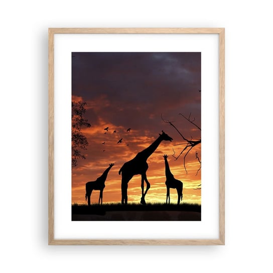 Obraz - Plakat - Mała kolacja w gronie najbliższych - 40x50cm - Zwierzęta Żyrafa Afryka - Foto Plakaty w ramie koloru jasny dąb do Salonu Sypialni ARTTOR ARTTOR