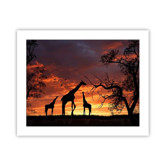 Obraz - Plakat - Mała kolacja w gronie najbliższych - 50x40cm - Zwierzęta Żyrafa Afryka - Foto Plakaty bez ramy do Salonu Sypialni ARTTOR ARTTOR
