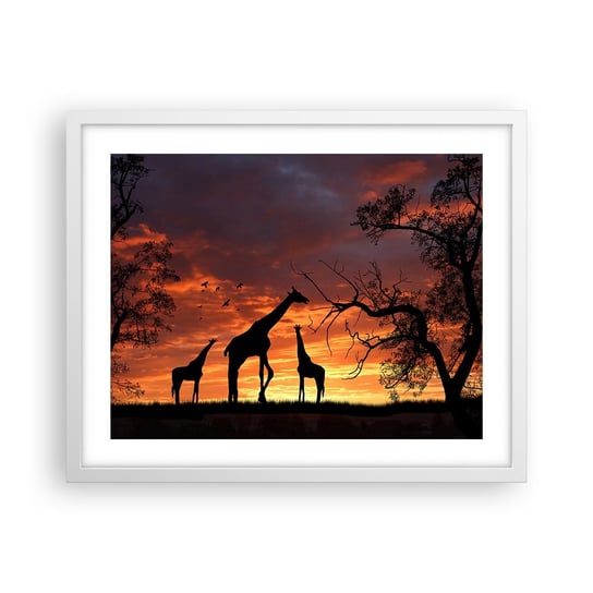 Obraz - Plakat - Mała kolacja w gronie najbliższych - 50x40cm - Zwierzęta Żyrafa Afryka - Foto Plakaty w ramie koloru białego do Salonu Sypialni ARTTOR ARTTOR