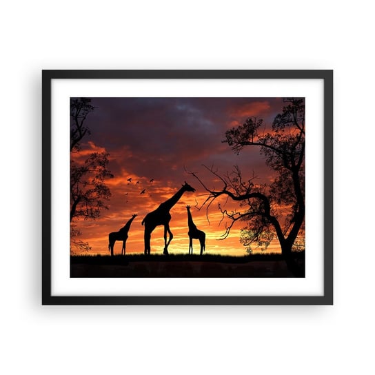 Obraz - Plakat - Mała kolacja w gronie najbliższych - 50x40cm - Zwierzęta Żyrafa Afryka - Foto Plakaty w ramie koloru czarnego do Salonu Sypialni ARTTOR ARTTOR