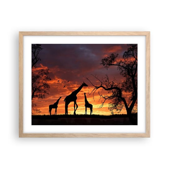 Obraz - Plakat - Mała kolacja w gronie najbliższych - 50x40cm - Zwierzęta Żyrafa Afryka - Foto Plakaty w ramie koloru jasny dąb do Salonu Sypialni ARTTOR ARTTOR