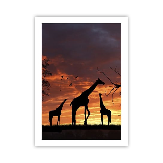Obraz - Plakat - Mała kolacja w gronie najbliższych - 50x70cm - Zwierzęta Żyrafa Afryka - Nowoczesny modny obraz Plakat bez ramy do Salonu Sypialni ARTTOR ARTTOR