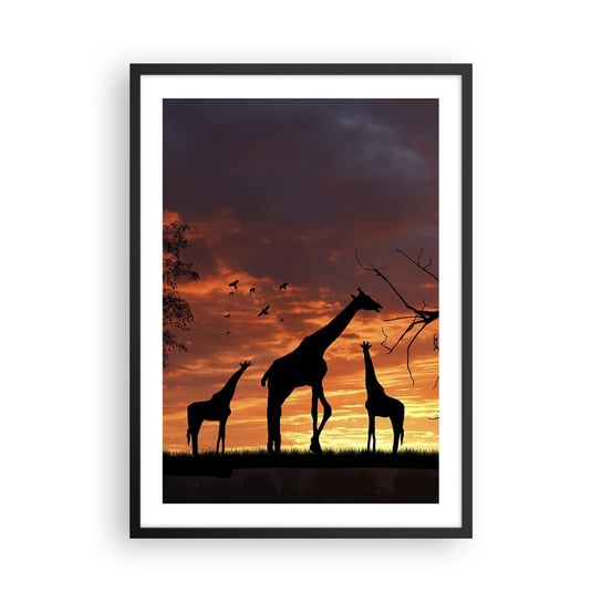 Obraz - Plakat - Mała kolacja w gronie najbliższych - 50x70cm - Zwierzęta Żyrafa Afryka - Nowoczesny modny obraz Plakat czarna rama ARTTOR ARTTOR