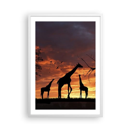 Obraz - Plakat - Mała kolacja w gronie najbliższych - 50x70cm - Zwierzęta Żyrafa Afryka - Nowoczesny modny obraz Plakat rama biała ARTTOR ARTTOR