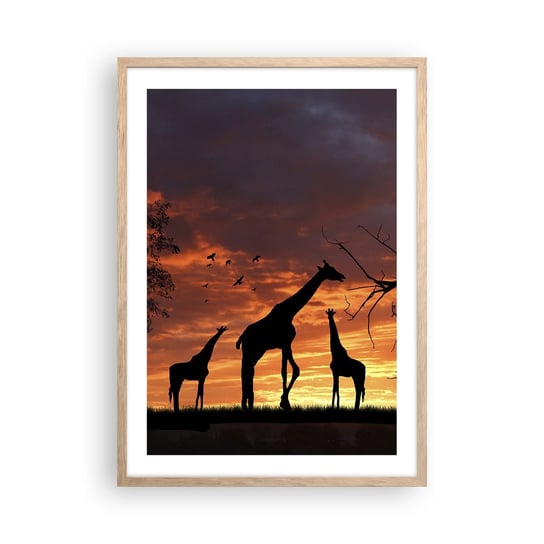 Obraz - Plakat - Mała kolacja w gronie najbliższych - 50x70cm - Zwierzęta Żyrafa Afryka - Nowoczesny modny obraz Plakat rama jasny dąb ARTTOR ARTTOR