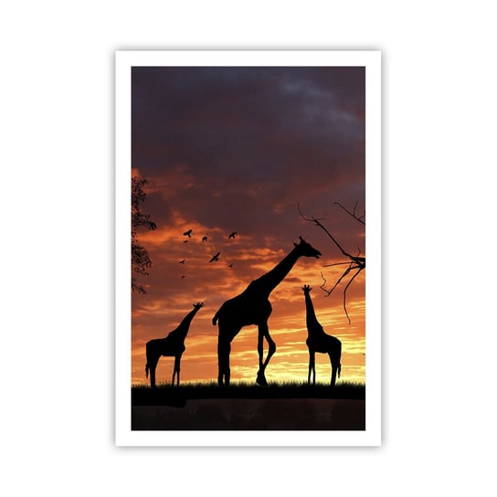Obraz - Plakat - Mała kolacja w gronie najbliższych - 61x91cm - Zwierzęta Żyrafa Afryka - Foto Plakaty na ścianę bez ramy - Plakat do Salonu Sypialni ARTTOR ARTTOR