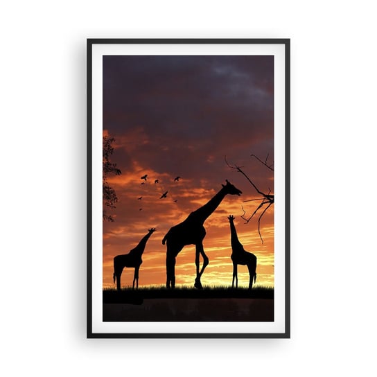 Obraz - Plakat - Mała kolacja w gronie najbliższych - 61x91cm - Zwierzęta Żyrafa Afryka - Foto Plakaty na ścianę w czarnej ramie - Plakat do Salonu Sypialni ARTTOR ARTTOR