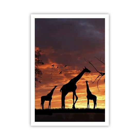 Obraz - Plakat - Mała kolacja w gronie najbliższych - 70x100cm - Zwierzęta Żyrafa Afryka - Foto Plakaty bez ramy na ścianę do Salonu Sypialni ARTTOR ARTTOR