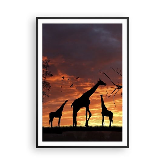Obraz - Plakat - Mała kolacja w gronie najbliższych - 70x100cm - Zwierzęta Żyrafa Afryka - Foto Plakaty w ramie koloru czarnego do Salonu Sypialni ARTTOR ARTTOR