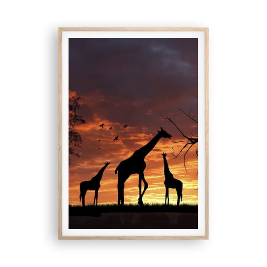 Obraz - Plakat - Mała kolacja w gronie najbliższych - 70x100cm - Zwierzęta Żyrafa Afryka - Foto Plakaty w ramie koloru jasny dąb do Salonu Sypialni ARTTOR ARTTOR