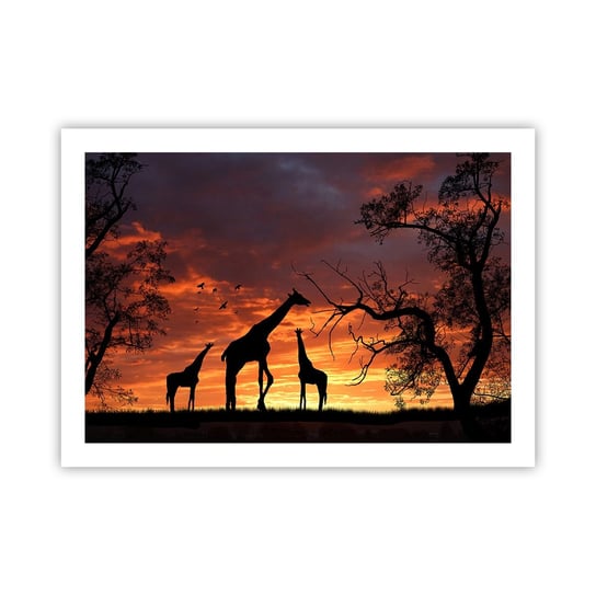 Obraz - Plakat - Mała kolacja w gronie najbliższych - 70x50cm - Zwierzęta Żyrafa Afryka - Nowoczesny modny obraz Plakat bez ramy do Salonu Sypialni ARTTOR ARTTOR