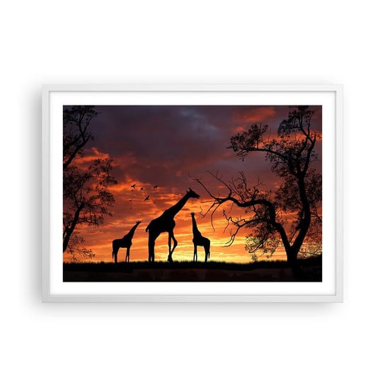 Obraz - Plakat - Mała kolacja w gronie najbliższych - 70x50cm - Zwierzęta Żyrafa Afryka - Nowoczesny modny obraz Plakat rama biała ARTTOR ARTTOR