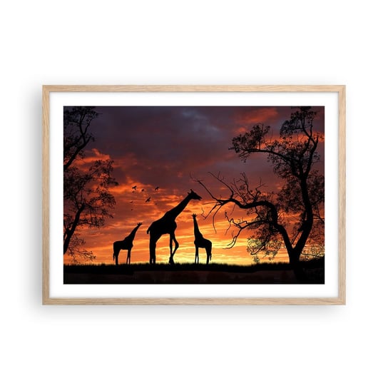 Obraz - Plakat - Mała kolacja w gronie najbliższych - 70x50cm - Zwierzęta Żyrafa Afryka - Nowoczesny modny obraz Plakat rama jasny dąb ARTTOR ARTTOR