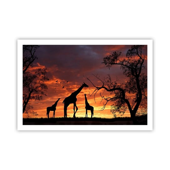 Obraz - Plakat - Mała kolacja w gronie najbliższych - 91x61cm - Zwierzęta Żyrafa Afryka - Foto Plakaty na ścianę bez ramy - Plakat do Salonu Sypialni ARTTOR ARTTOR