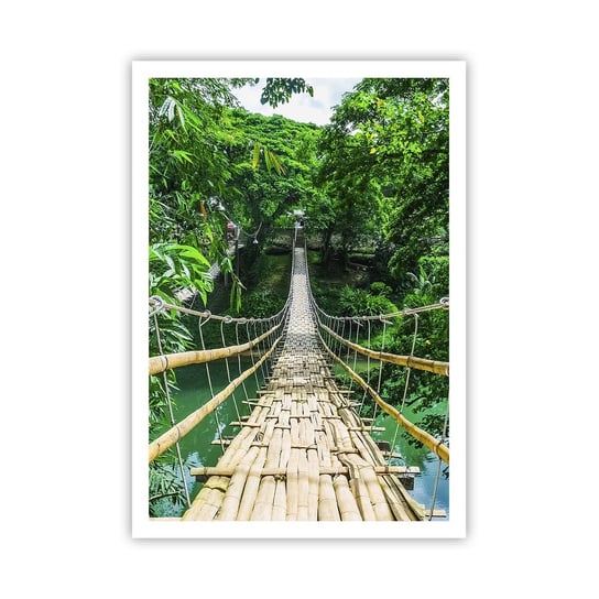 Obraz - Plakat - Małpi most nad zielenią - 70x100cm - Krajobraz Dżungla Filipiny - Foto Plakaty bez ramy na ścianę do Salonu Sypialni ARTTOR ARTTOR