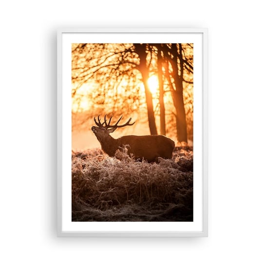 Obraz - Plakat - Marzenie myśliwego - 50x70cm - Krajobraz Jeleń Polowanie - Nowoczesny modny obraz Plakat rama biała ARTTOR ARTTOR