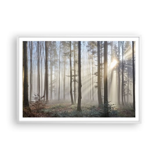 Obraz - Plakat - Mgła też się zbudziła - 100x70cm - Krajobraz Las Mgła - Foto Plakaty w ramie koloru białego do Salonu Sypialni ARTTOR ARTTOR