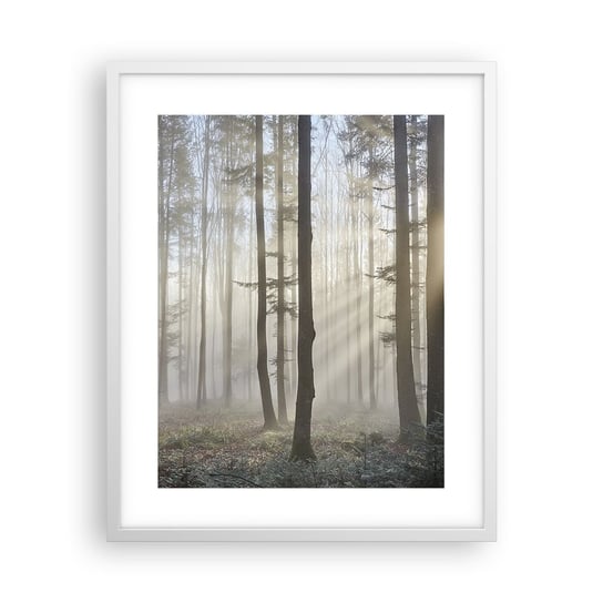 Obraz - Plakat - Mgła też się zbudziła - 40x50cm - Krajobraz Las Mgła - Foto Plakaty w ramie koloru białego do Salonu Sypialni ARTTOR ARTTOR