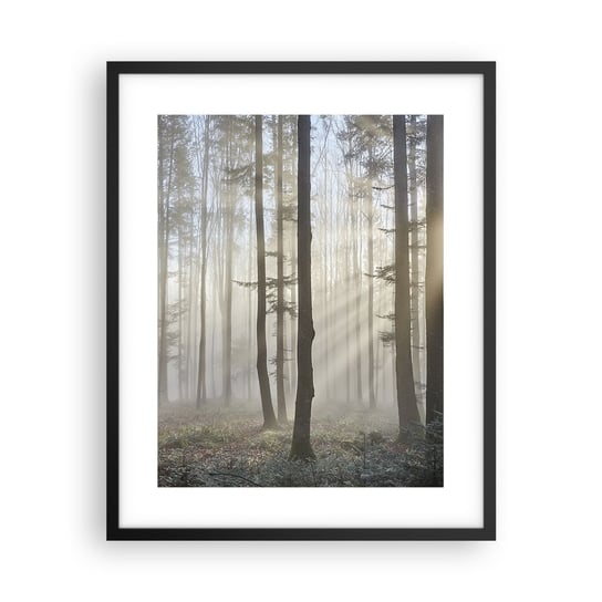 Obraz - Plakat - Mgła też się zbudziła - 40x50cm - Krajobraz Las Mgła - Foto Plakaty w ramie koloru czarnego do Salonu Sypialni ARTTOR ARTTOR