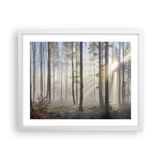 Obraz - Plakat - Mgła też się zbudziła - 50x40cm - Krajobraz Las Mgła - Foto Plakaty w ramie koloru białego do Salonu Sypialni ARTTOR ARTTOR