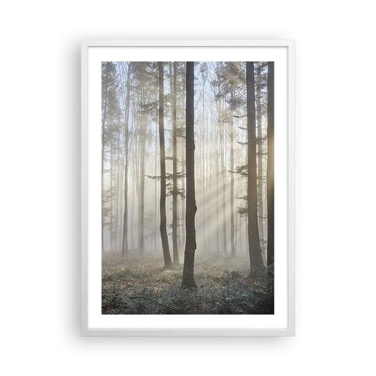 Obraz - Plakat - Mgła też się zbudziła - 50x70cm - Krajobraz Las Mgła - Nowoczesny modny obraz Plakat rama biała ARTTOR ARTTOR