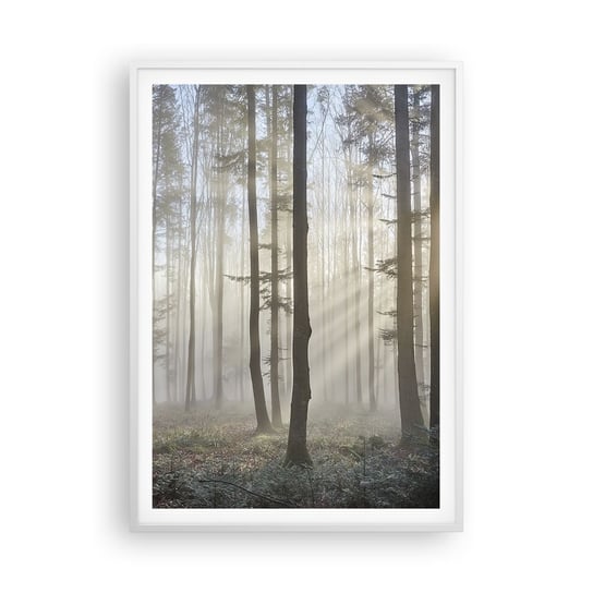 Obraz - Plakat - Mgła też się zbudziła - 70x100cm - Krajobraz Las Mgła - Foto Plakaty w ramie koloru białego do Salonu Sypialni ARTTOR ARTTOR