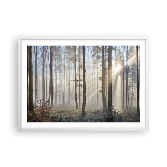Obraz - Plakat - Mgła też się zbudziła - 70x50cm - Krajobraz Las Mgła - Nowoczesny modny obraz Plakat rama biała ARTTOR ARTTOR