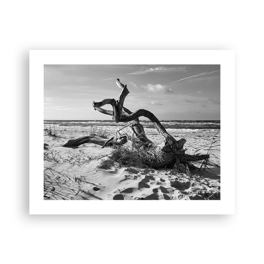 Obraz - Plakat - Morska rzeźba - 50x40cm - Plaża Gałąź Piasek - Foto Plakaty bez ramy do Salonu Sypialni ARTTOR ARTTOR