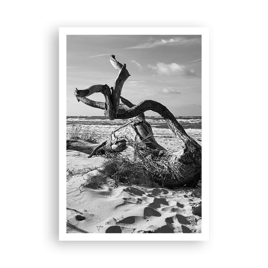 Obraz - Plakat - Morska rzeźba - 70x100cm - Plaża Gałąź Piasek - Foto Plakaty bez ramy na ścianę do Salonu Sypialni ARTTOR ARTTOR