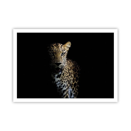 Obraz - Plakat - Mroczne piękno - 100x70cm - Zwierzęta Lampart Dziki Kot - Foto Plakaty bez ramy na ścianę do Salonu Sypialni ARTTOR ARTTOR