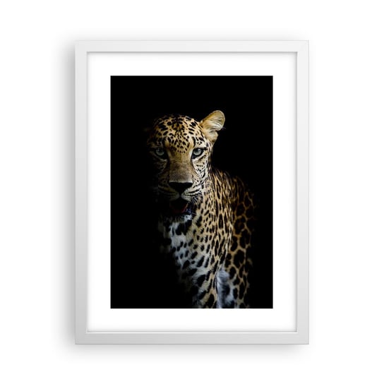 Obraz - Plakat - Mroczne piękno - 30x40cm - Zwierzęta Lampart Dziki Kot - Foto Plakaty na ścianę w ramie białej - Plakat do Salonu Sypialni ARTTOR ARTTOR