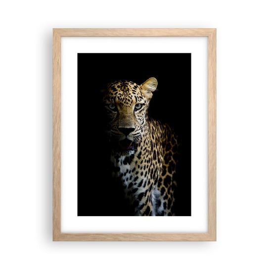 Obraz - Plakat - Mroczne piękno - 30x40cm - Zwierzęta Lampart Dziki Kot - Foto Plakaty na ścianę w ramie jasny dąb - Plakat do Salonu Sypialni ARTTOR ARTTOR