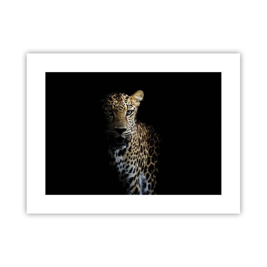 Obraz - Plakat - Mroczne piękno - 40x30cm - Zwierzęta Lampart Dziki Kot - Foto Plakaty na ścianę bez ramy - Plakat do Salonu Sypialni ARTTOR ARTTOR