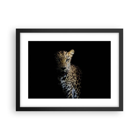 Obraz - Plakat - Mroczne piękno - 40x30cm - Zwierzęta Lampart Dziki Kot - Foto Plakaty na ścianę w czarnej ramie - Plakat do Salonu Sypialni ARTTOR ARTTOR