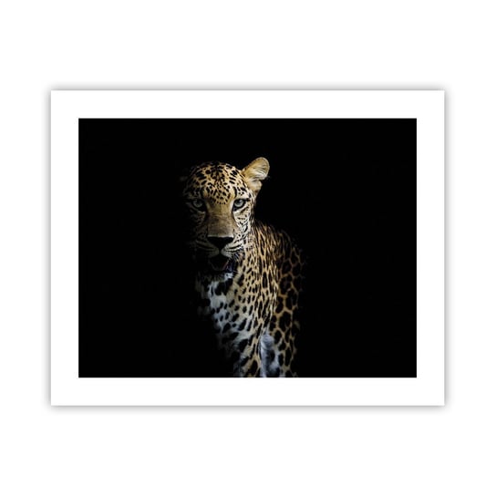 Obraz - Plakat - Mroczne piękno - 50x40cm - Zwierzęta Lampart Dziki Kot - Foto Plakaty bez ramy do Salonu Sypialni ARTTOR ARTTOR