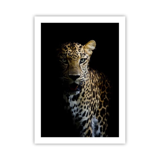 Obraz - Plakat - Mroczne piękno - 50x70cm - Zwierzęta Lampart Dziki Kot - Nowoczesny modny obraz Plakat bez ramy do Salonu Sypialni ARTTOR ARTTOR