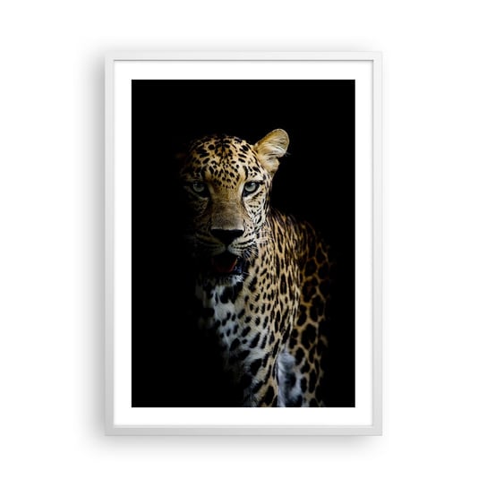 Obraz - Plakat - Mroczne piękno - 50x70cm - Zwierzęta Lampart Dziki Kot - Nowoczesny modny obraz Plakat rama biała ARTTOR ARTTOR